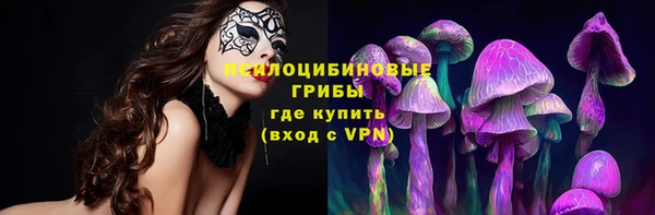 таблы Алзамай