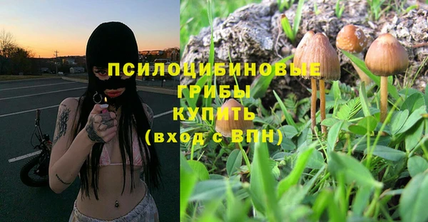 сатива Алексеевка