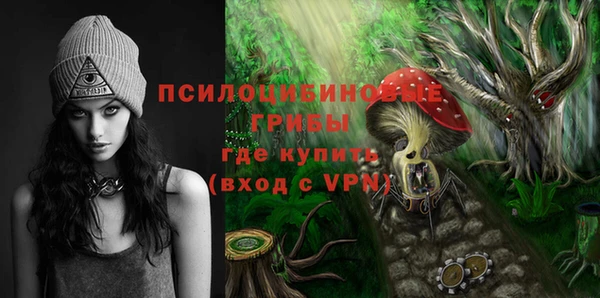 сатива Алексеевка